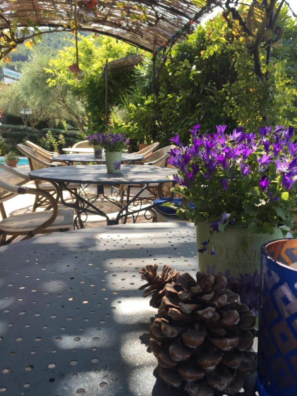 Le Grand Jardin Bed & Breakfast Lafare ภายนอก รูปภาพ